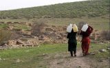 دعوت از آفریقا برای سرمایهگذاری در مناطق روستایی ایران دعوت از آفریقا برای سرمایهگذاری در مناطق روستایی ایران