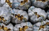 سیب زمینی تا هفته آینده ارزان می‌شود