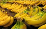 قیمت موز یک دلار است؛ گران تر نخرید
