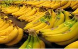 قیمت موز یک دلار است؛ گران تر نخرید