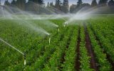 هدفگذاری اجرای ۷۰ هزار هکتار سامانههای نوین آبیاری در اراضی کشاورزی هدفگذاری اجرای ۷۰ هزار هکتار سامانههای نوین آبیاری در اراضی کشاورزی
