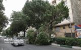 هشدار وزش باد شدید و رگبار در تهران؛ دما کاهش می‌یابد