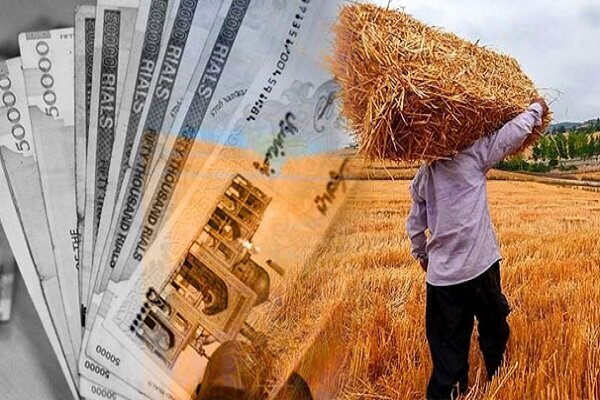 پرداخت به‌موقع مطالبات گندم‌کاران در شورای اقتصاد پیگیری می‌شود