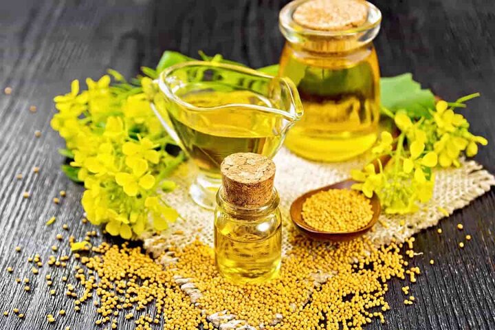 پیش‌بینی شده امسال ۳۰۰ هزار تن کلزا خرید تضمینی شود