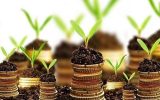 ۱۷۲ صندوق حمایت از توسعه بخش کشاورزی در کشور فعال است