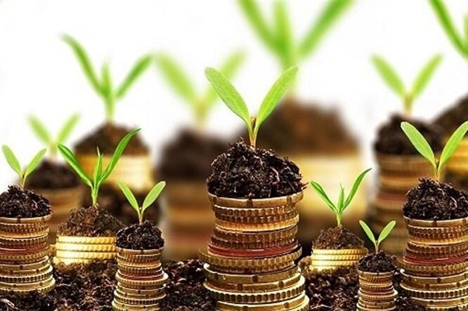 ۱۷۲ صندوق حمایت از توسعه بخش کشاورزی در کشور فعال است