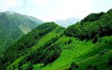 بهره‌برداری پایدار، کلیدی برای آینده منابع طبیعی