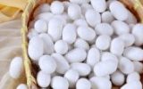هدف‌گذاری تولید ۱۶۵۰ تن پیله‌تر ابریشم در بهار ۱۴۰۴
