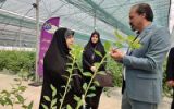 تحول در کشاورزی نوین با محوریت زنان