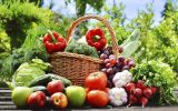 جنگ نرم علیه کشاورزی ایران؛ از شایعه تا تخریب برند ملی جنگ نرم علیه کشاورزی ایران؛ از شایعه تا تخریب برند ملی