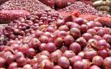 خرید تضمینی پیاز تا ۵ خرداد ادامه دارد