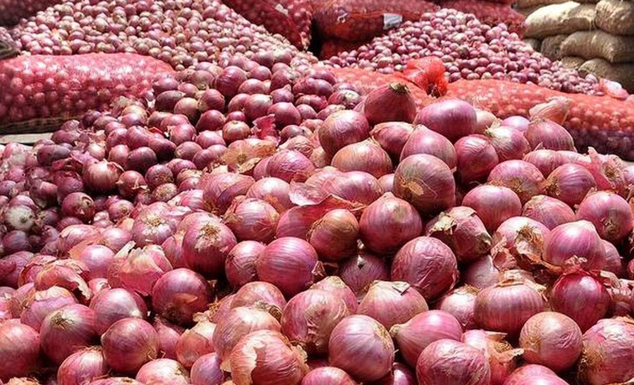 خرید تضمینی پیاز تا ۵ خرداد ادامه دارد خرید تضمینی پیاز تا ۵ خرداد ادامه دارد