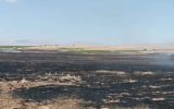 آذرخش سبب آتش سوزی زمین های کشاورزی ایلام شد