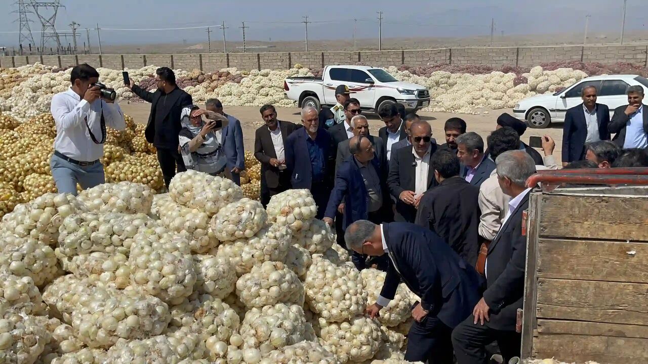 نماینده جیرفت و عنبرآباد: کشاورز نباید تاوان قاچاق سوخت را بدهد نماینده جیرفت و عنبرآباد: کشاورز نباید تاوان قاچاق سوخت را بدهد