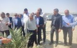 بازدید نمایندگان مجلس از بزرگترین نخلستان مجول جهان در «دشت پُلپُلک‌» بشاگرد هرمزگان