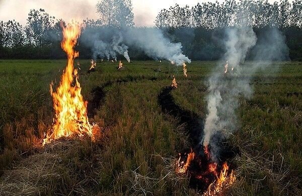 آلودگی از خاک تا آسمان؛ ضرورت توقف آتش‌سوزی‌های کشاورزی در خوزستان