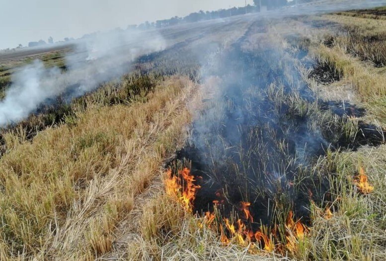 آلودگی از خاک تا آسمان؛ ضرورت توقف آتشسوزیهای کشاورزی در خوزستان آلودگی از خاک تا آسمان؛ ضرورت توقف آتشسوزیهای کشاورزی در خوزستان