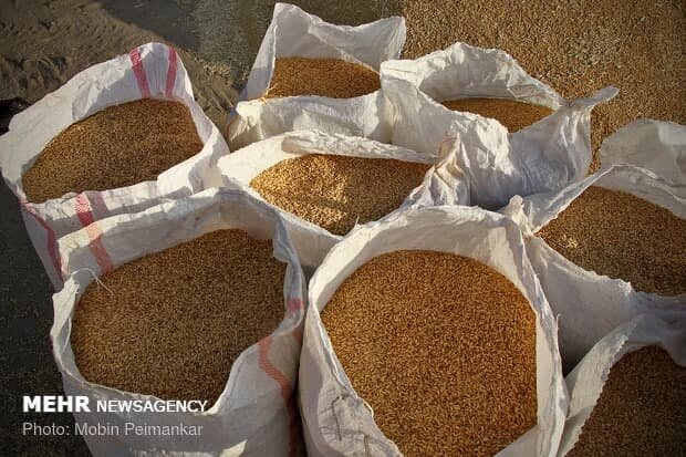 درخواست آزادسازی نرخ سبوس به نفع بازار مصرف گوشت نیست درخواست آزادسازی نرخ سبوس به نفع بازار مصرف گوشت نیست