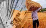 دومین مرحله از مطالبات کشاورزان گندمکار پرداخت شد