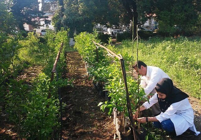 توسعه آموزش کشاورزی از هنرستان تا مزرعه توسعه آموزش کشاورزی از هنرستان تا مزرعه