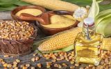 دانه‌های روغنی در حادثه اسکله شهید رجایی آسیبی ندیدند