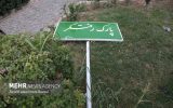 هشدار رگبار، وزش باد شدید و گردوخاک در تهران از امروز