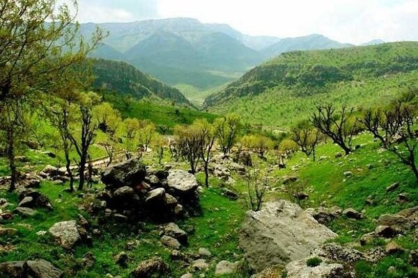 اجلاسیه بینالمللی مدیریت پایدار جنگلهای زاگرس برگزار میشود اجلاسیه بینالمللی مدیریت پایدار جنگلهای زاگرس برگزار میشود