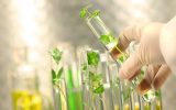 امنیت غذایی پایدار با حفظ تنوع زیستی و منابع ژنتیکی امنیت غذایی پایدار با حفظ تنوع زیستی و منابع ژنتیکی