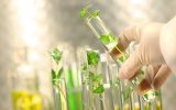 امنیت غذایی پایدار با حفظ تنوع زیستی و منابع ژنتیکی