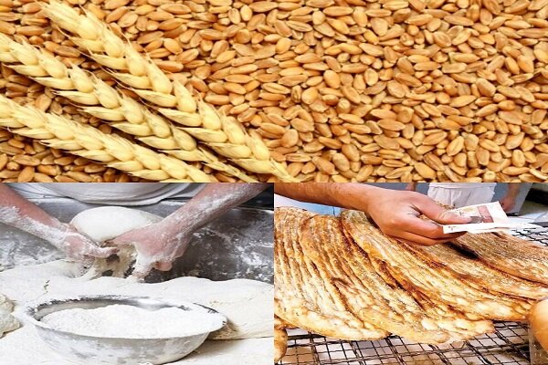 یارانه آرد و نان برای افزایش کارایی و شفافیت بیشتر تفکیک شود یارانه آرد و نان برای افزایش کارایی و شفافیت بیشتر تفکیک شود