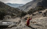 لزوم تغییر رویکرد مدیریت از سازمان به جامعه/ قوانین مشارکت مردم را محدود کرده است