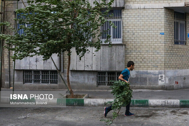 وزش باد شدید و گردوخاک در نوار شرقی کشور