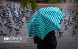 رگبار و رعد و برق در شمال غرب از سه‌شنبه