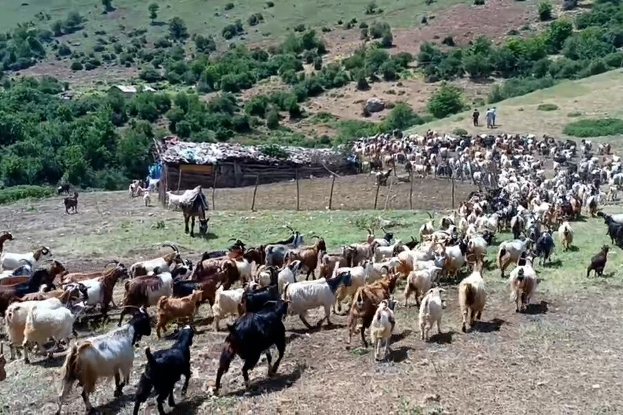 ویدیو/ آغاز «قرق شکنی» در مراتع البرز مرکزی ویدیو/ آغاز «قرق شکنی» در مراتع البرز مرکزی