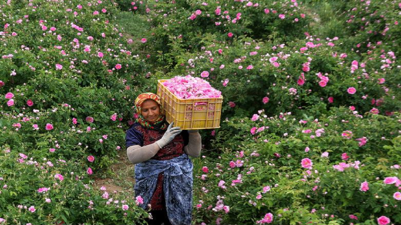 فَرُخَد؛ کاشان کوچک در دل خراسان فَرُخَد؛ کاشان کوچک در دل خراسان