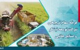 عرضه سهام ترجیحی شرکت توسعه نیشکر و صنایع جانبی