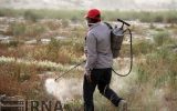 سموم مصرفی خطرناک بخش کشاورزی کمتر از ۲۰ درصد است