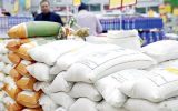 رونمایی از برنج ۳۰۰ هزارتومانی/ قیمت برنج تا کجا بالا می‌رود؟