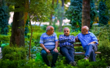 نیمکت‌هایی که هنوز نفس می‌کشند