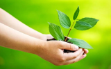 ۷ راه طلایی برای یافتن معنای زندگی