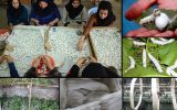 تعرفه پایین واردات تخم نوغان؛ چالشی برای توسعه پایدار صنعت ابریشم
