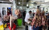 تابستان بازار گوشت، چشم انتظار تصمیم منطقی مسئولان