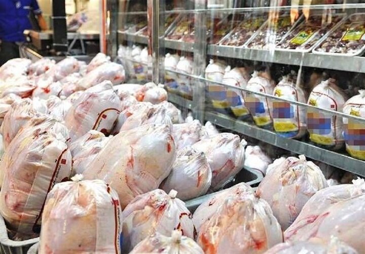 تکذیب افزایش قیمت مرغ در شیراز