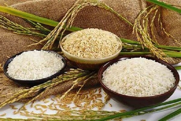 حذف واردات برنجهای با کیفیت برای صرفهجویی ارزی حذف واردات برنجهای با کیفیت برای صرفهجویی ارزی