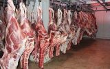 حذف ارز ترجیحی گوشت قرمز امروز در ستاد تنظیم بازار تعیین‌تکلیف می‌شود