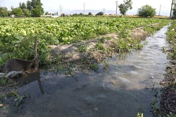 تکمیل حدود ۳۰۰۰ سامانه نوین آبیاری در ۴ سال گذشته