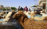 تاکید بر بهره‌گیری از ظرفیت‌های مرزی برای تقویت امنیت غذایی