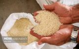 نامه انجمن تولیدکنندگان و تأمین‌کنندگان برنج به معاون اول رئیس‌جمهور