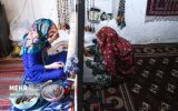 زندگی در روستاها برای جلوگیری از مهاجرت باید سودآور شود