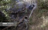 حریق ۸۰ هکتار از اراضی جنگل گلستان/ نجات جنگل با ۵ سورتی در ۶ ساعت پرواز حریق ۸۰ هکتار از اراضی جنگل گلستان/ نجات جنگل با ۵ سورتی در ۶ ساعت پرواز